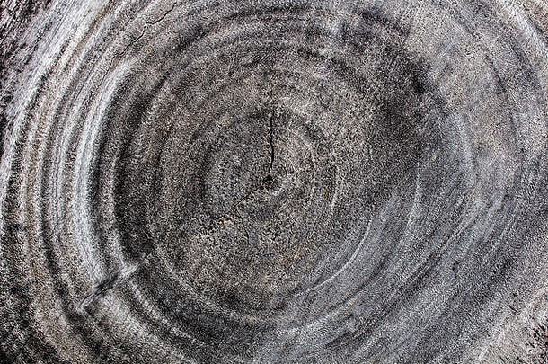 木背景木表面木纹理
