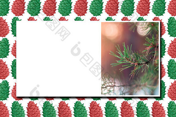 问候卡插图松树冷杉分支灯色彩斑斓的雪松视锥细胞背景圣诞节一年横幅封面邀请概念