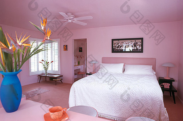 花瓶鸟天堂花沙拉酱表格粉红色的三十岁风格卧室