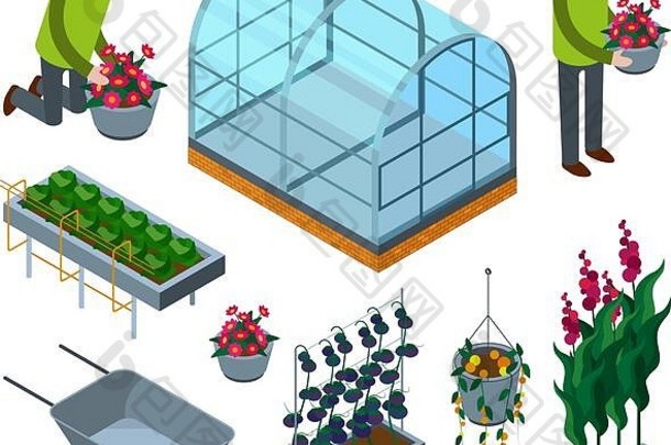 农场温室等角农业独轮手推车玻璃房番茄园艺概念向量图片