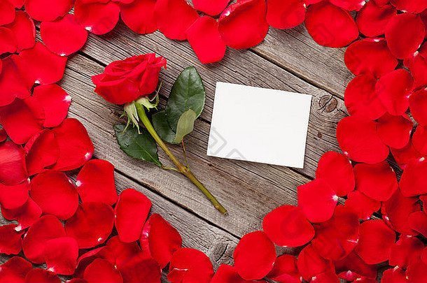 情人节一天问候卡木背景红色的玫瑰花瓣