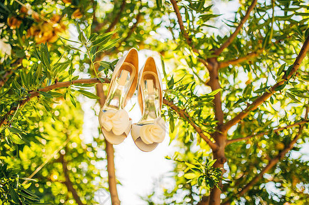 婚礼鞋子新娘挂分支橄榄树