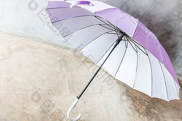 紫色的银青铜保护伞地板上