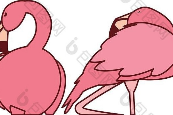 异国情调的粉红色的佛兰德的夫妇鸟睡觉向量插图设计