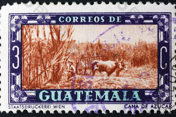 糖狗种植园古董邮票危地马拉