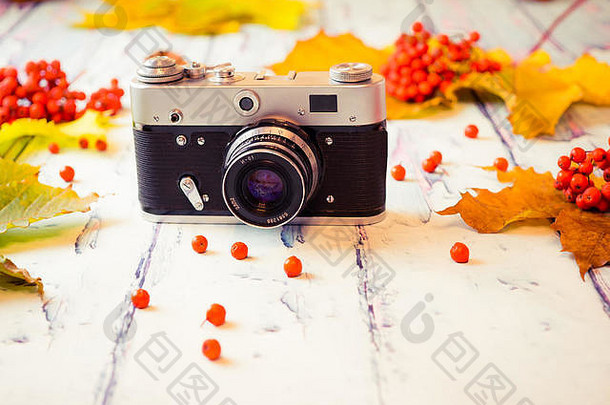 秋天概念秋天黄色的绿色棕色（的）叶子红色的灰莓复古的相机木背景