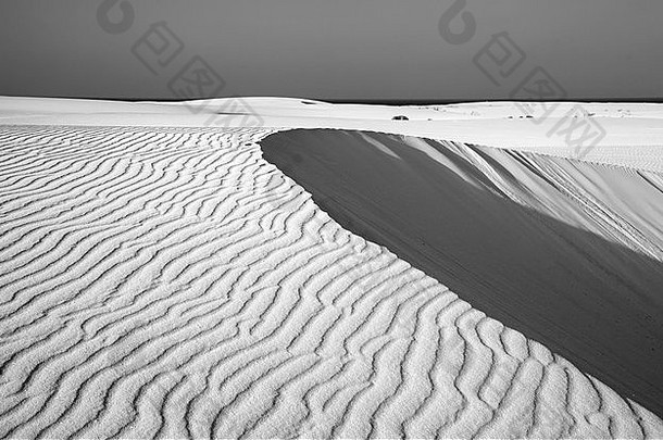 北部Fuerteventura金丝雀岛屿自然储备沙丘Corralejo单色