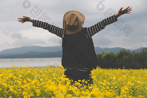 年轻的女人提高手黄色的菊花花场感觉快乐免费的