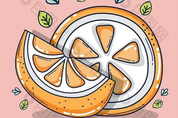 橙色片水果卡通