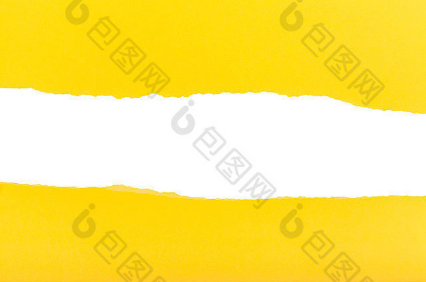 划分半表黄色的扯掉纸白色背景