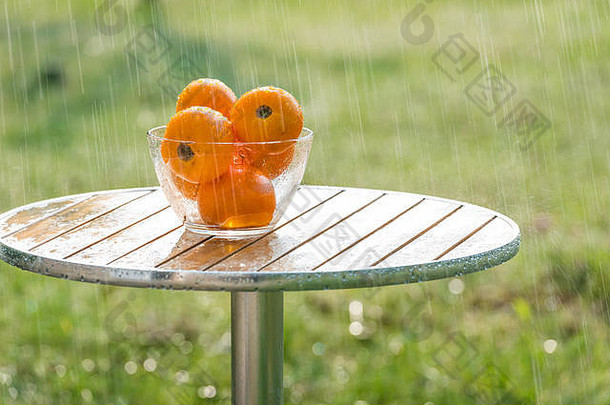 夏天雨西红柿图片花园基辅