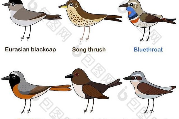 可爱的鸟向量插图集黑头莺类画眉蓝喉歌鸲红尾鸲七星麦穗色彩斑斓的欧洲鸟卡通集合
