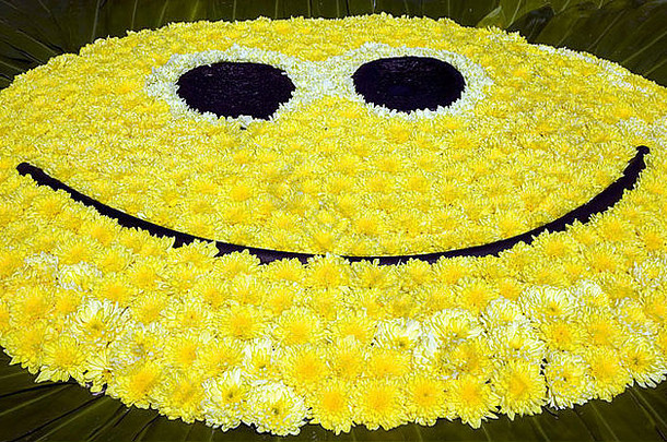 大黄色的微笑脸使花