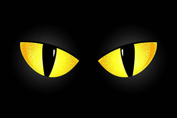 眼睛黑色的猫