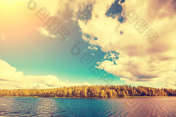 森林海岸湖美丽的自然芬兰