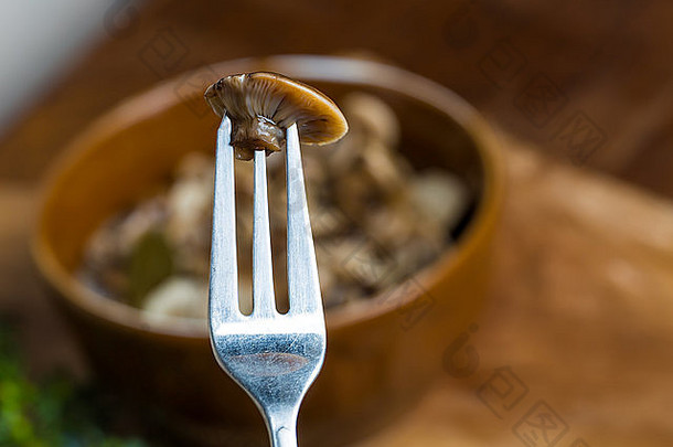 腌制蜂蜜真菌