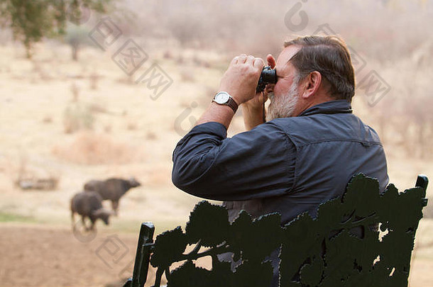 男人。查看非洲水牛双筒望远镜纳卡万戈房地产维多利亚瀑布私人游戏储备津巴布韦非洲