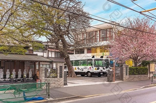 东京日本3月佛教幼儿园春天樱桃花朵树布鲁姆Jizo菩萨雕像学校公共汽车德科拉