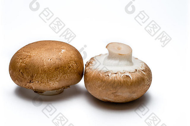 twocrimini蘑菇孤立的白色背景