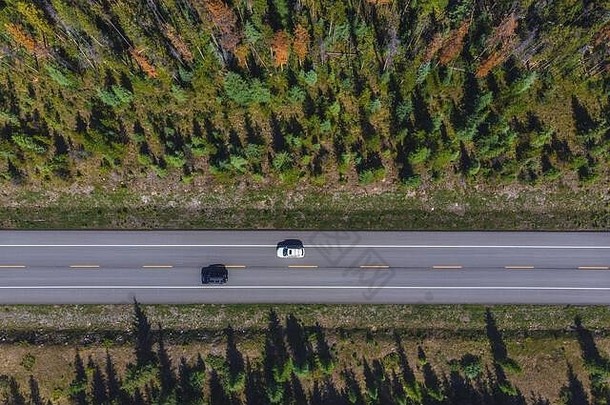 自顶向下空中视图车辆冰原百汇高速公路班夫碧玉国家公园夏天阿尔伯塔省加拿大