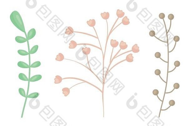 分支植物花树叶向量插图设计