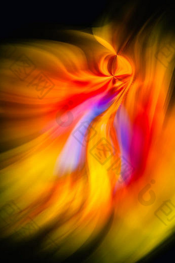 摘要细艺术色彩斑斓的图像基于摄影盛开的芙蓉开花运动