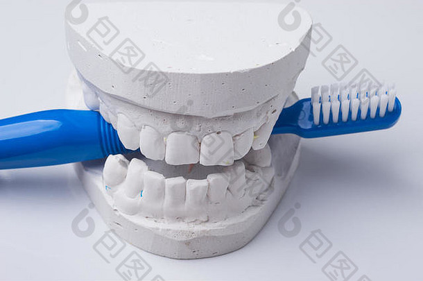 口服卫生健康概念特写镜头蓝色的牙刷牙科石膏模型石膏