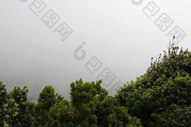 多云的多雾的景观anaga山tenerife