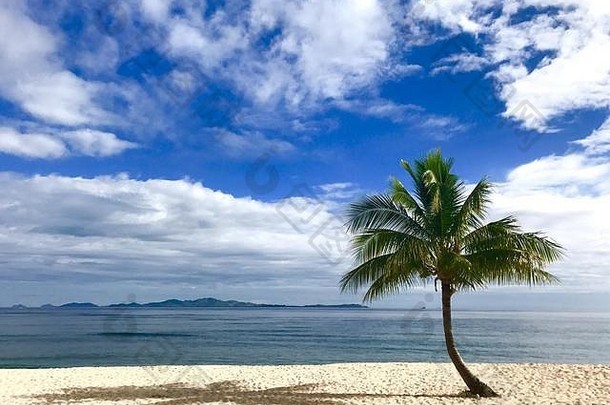 棕榈树海滩塔瓦鲁阿岛斐济