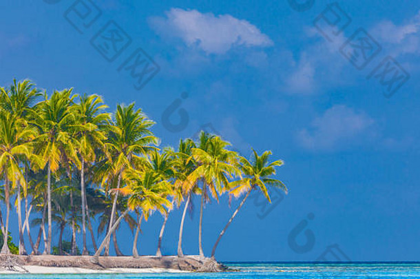 令人惊异的海滩横幅热带景观棕榈树白色沙子蓝色的天空异国情调的假期假期概念奢侈品旅行目的地概念