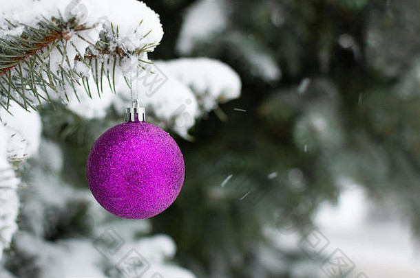 装饰圣诞节树在<strong>户外</strong>圣诞节问候卡圣诞节装饰雪树背景复制空间模型设计