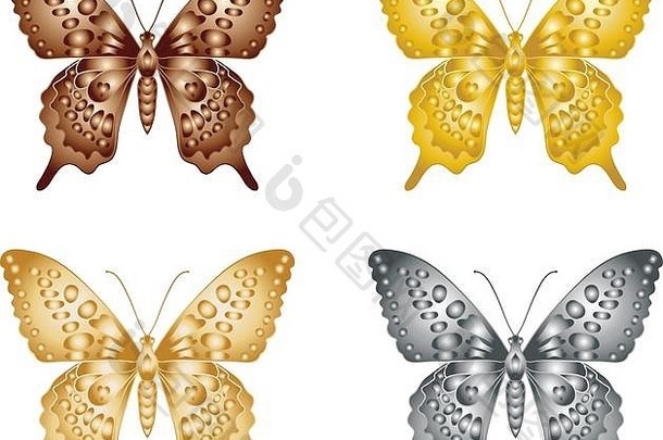 集黄金银蝴蝶白色背景集合蝴蝶向量插图