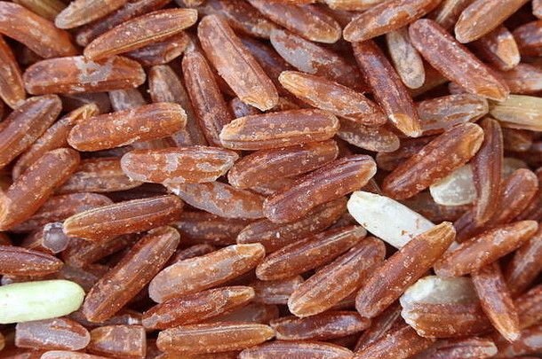 桩有机棕色（的）大米自然食物背景粮食大米昆虫象鼻虫咬吃损坏的