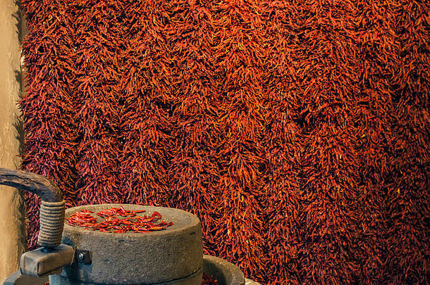 干红色的辣椒收集挂墙装饰石头机前面辣椒