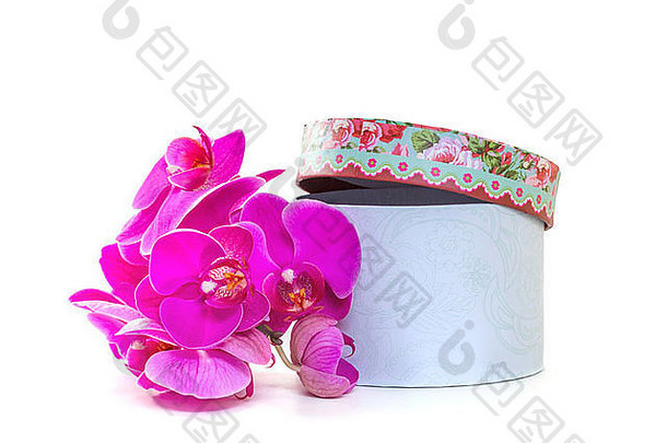 礼物盒子粉红色的兰花白色背景