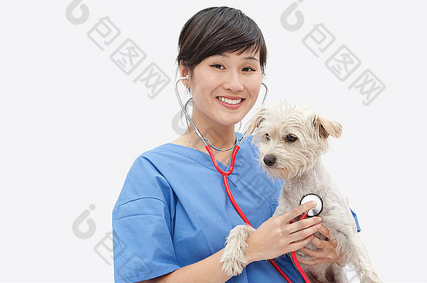 肖像亚洲女兽医检查狗灰色的背景