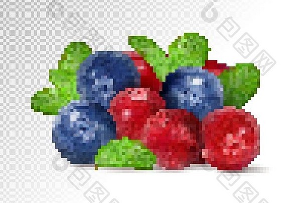 孤立的浆果桩新鲜的蔓越莓蓝莓水果孤立的透明的背景
