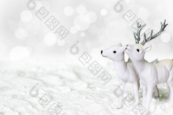 白色驯鹿罗伊鹿站雪
