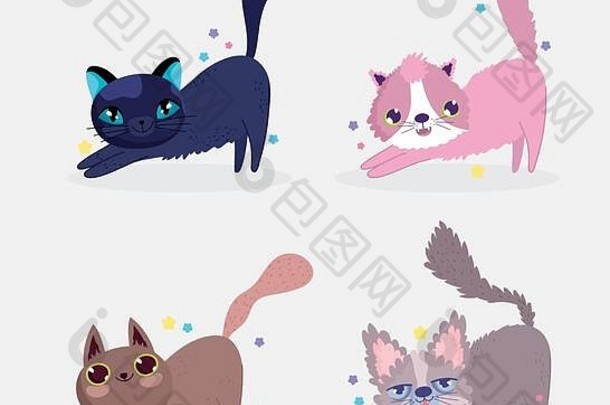 可爱的猫伸展运动国内卡通动物集合宠物向量插图