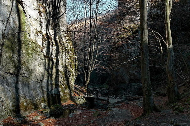 秋天走迷宫泰特文巴尔干半岛高山峰河桥长满青苔的陡峭的悬崖正在尝试planina保加利亚