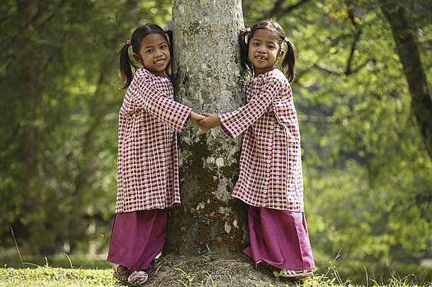 双胞胎姐妹树