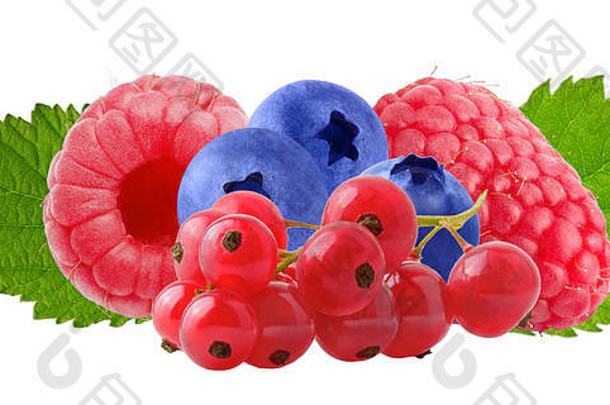 孤立的水果新鲜的浆果红色的醋栗树莓蓝莓孤立的白色背景剪裁路径包设计元素