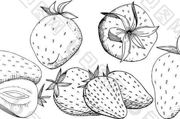 向量草莓健康的食物黑色的白色刻墨水艺术孤立的浆果插图元素