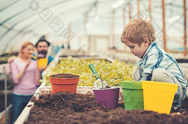 孩子种植花粉红色的能一边视图金发碧眼的男孩玩盒子土壤父工作温室