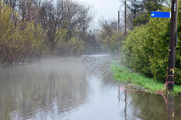 鸭<strong>游泳</strong>淹没了街加蒂诺春天洪水低挂雾涵盖了水