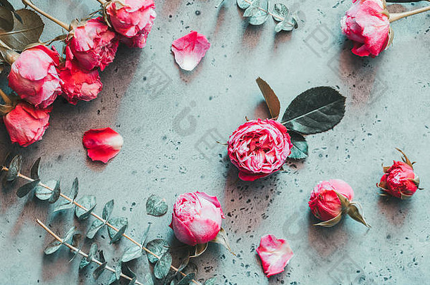 前视图粉红色的玫瑰灰色混凝土背景概念春天情人节一天平躺