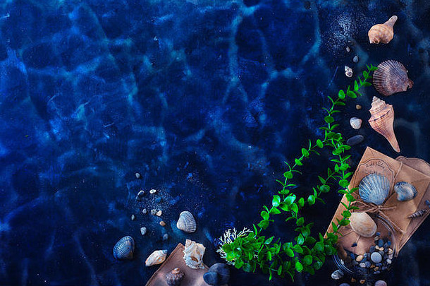 海藻贝壳沙子水下生活黑暗背景水涟漪海旅行潜水概念复制空间