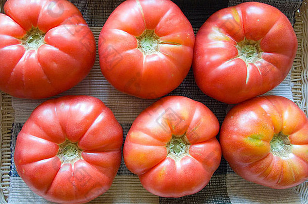大成熟的西红柿茄属植物lycopersicum