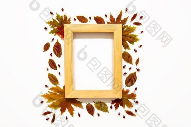 木框架色彩斑斓的明亮的秋天叶装饰复制空间