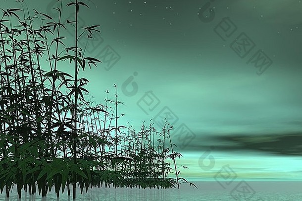 竹子水绿色晚上背景